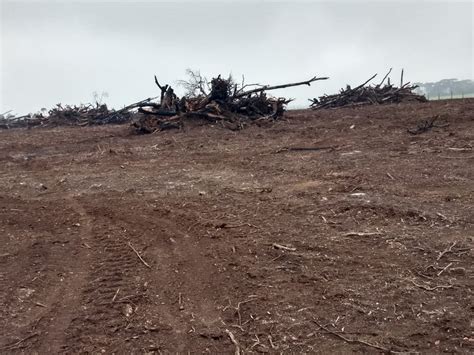 Pol Cia Ambiental Aplica Mais De R Mil Em Multas Por Destrui O De