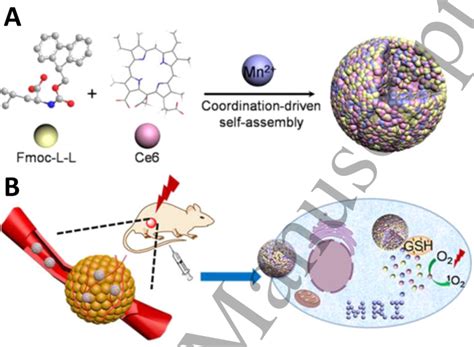 A Engineering Of Fmoc L L Mn Nanoparticles Fmcnp S From Fmoc L L