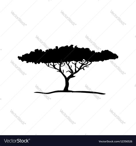 Silhouette acacia tree Royalty Free Vector Image