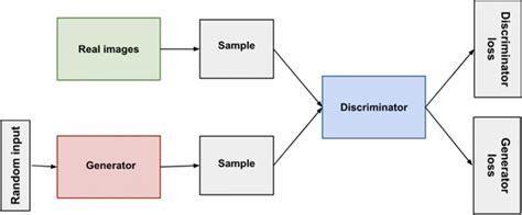 Basic GAN Architecture (image courtesy... | Download Scientific Diagram