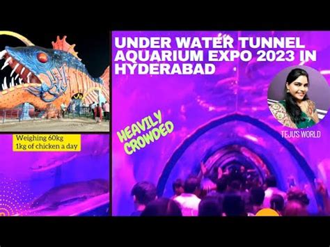 Under Water Tunnel Aquarium Expo 2023 In Hyderabad Fish Aquarium