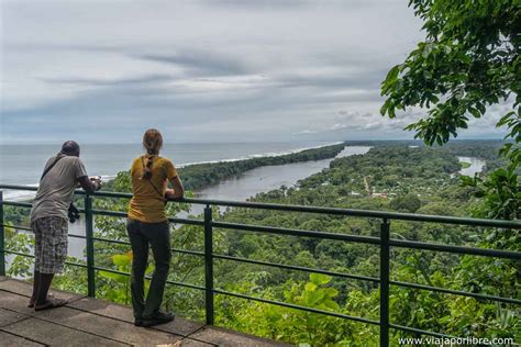 Que Ver En El Parque Nacional Tortuguero De Costa Rica