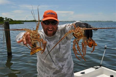 Lobster Season 2024 Key West News Ingrid Elladine