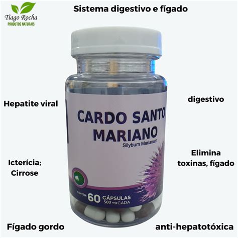 Cardo Mariano Fígado