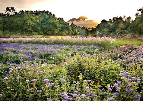 Bukid Amara: A new level of farm experience – Agriculture Monthly