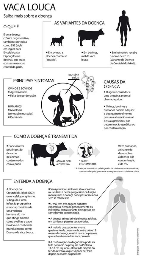 O Que é Doença Da Vaca Louca - NAZAEDU