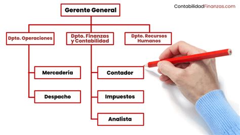 Diferencias Clave Entre Finanzas Y Contabilidad Conceptos Y Carreras