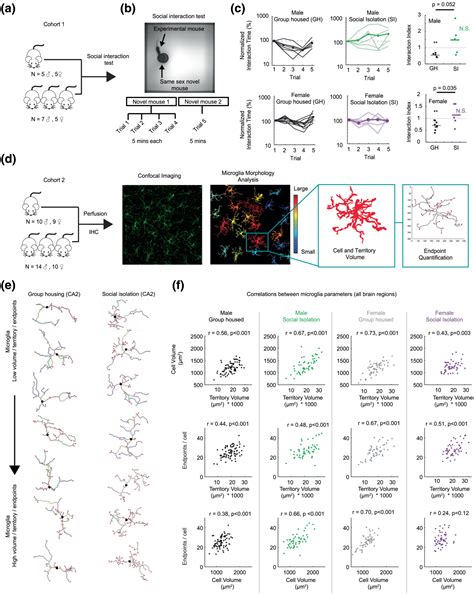 Social Isolation Produces A Sex And Brain Regionspecific Alteration Of Microglia State Vu