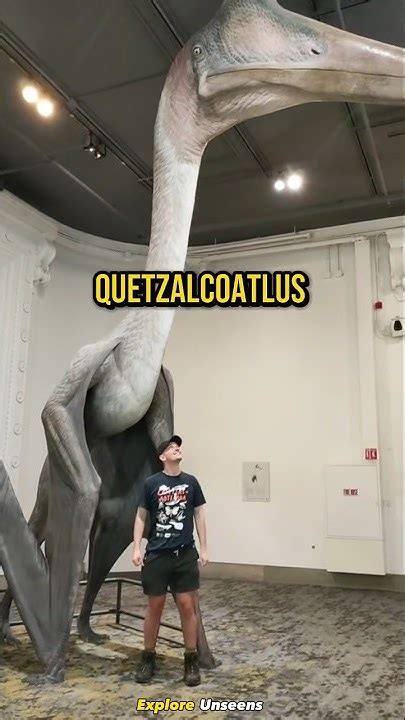 The Biggest Flying Animal To Ever Exist Quetzalcoatlus Youtube