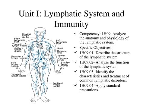 PPT Unit I Lymphatic System And Immunity PowerPoint Presentation