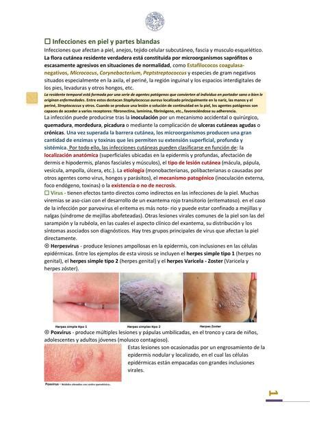 Microbiología Inf Piel Y Partes Blandas Welbert Almeida Leite Udocz