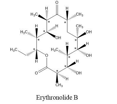 Erythronolide B Is The Biological Precursor Of Erythromycin A