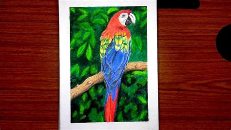 Macaw Masterpiece Of Nature S Colours Faber Castell Polychromos