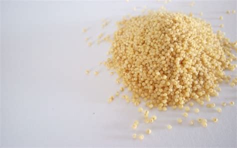 Basic Millet Arise And Shine