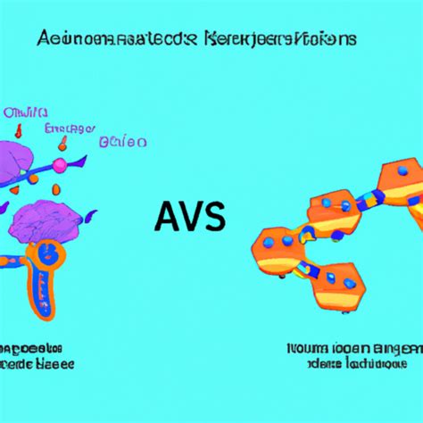 The Action Of Neurotransmitters Is What By Agonists And Is What By