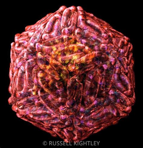 Russell Kightley Scientific Illustrator Animator Hiv Or Aids Virus