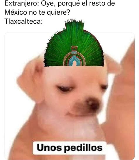 Unos Pedillos El Meme Del Perrito Que Es Perfecto Cuando No Quieres