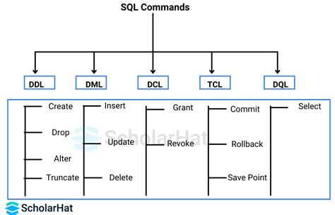 Sql Commands With Examples Types Of Sql Commands