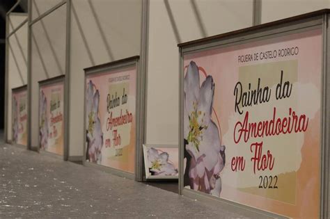 Figueira De Castelo Rodrigo Inaugura Hoje Festa Da Amendoeira Em Flor