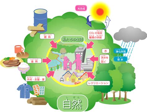 環境省 こども環境白書2012 図表・イラスト