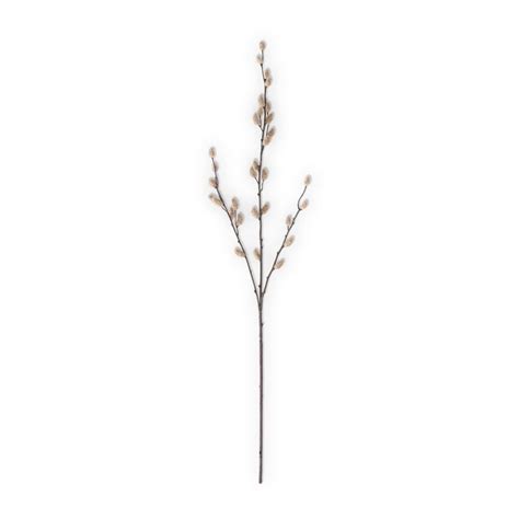 33 Tan Pussy Willow Stem