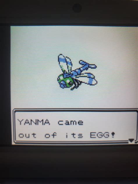 [Gen 2] Shiny Yanma : r/ShinyPokemon