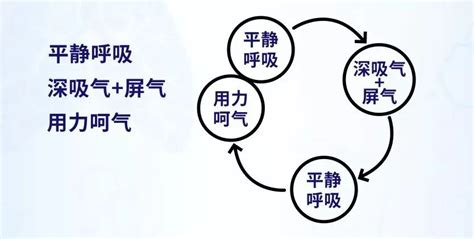 排痰妙招——acbt主动呼吸循环技术acbt呼吸主动呼吸循环技术康复呼吸模式 健康界