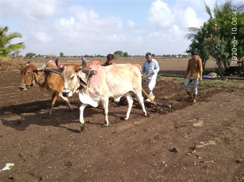 Crop Production And Management Sciencephobia