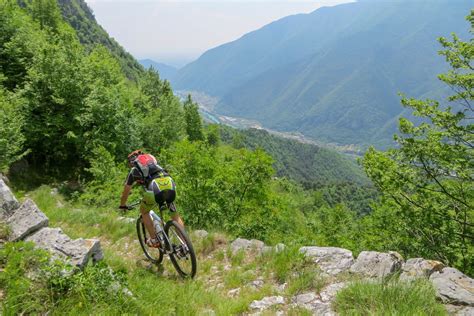 Cima Grappa Trail Nest Bike Percorsi E Itinerari In Mountain Bike