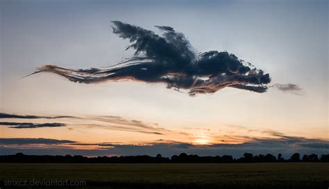 The Cloud Dragon by StrixCZ on DeviantArt