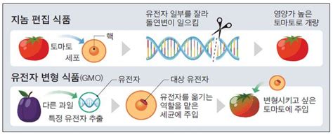 지놈편집식품 허용 과연 안전한가