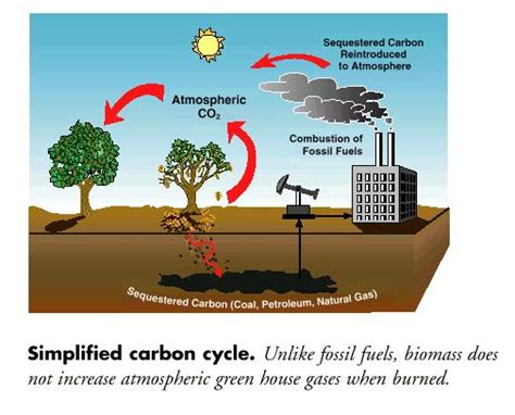 Biomass: Key Advantages and Disadvantages