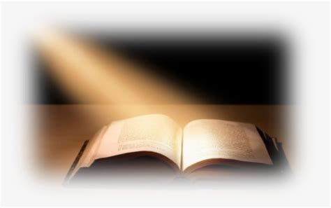 bible vector transparent open bible transparent background