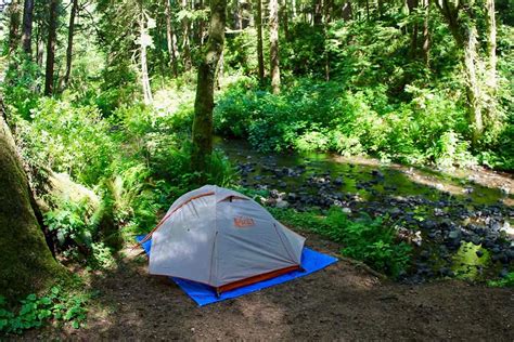 18 Best Camping Spots on the Oregon Coast