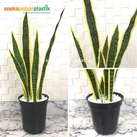 Jual Pohon Artificial Tanaman Hias Daun Lidah Mertua Latex Pot Effiel