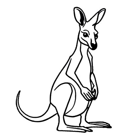 Kangaroo with joey in pouch Lulu Pages