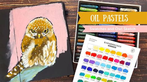 New Paul Rubens Oil Pastels Haiya Review And Owl Sketch Youtube