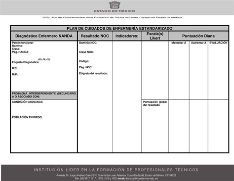 Formato Place Para Su Llenado Plan De Cuidados De Enfermer A