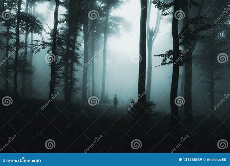 Ghost In The Fog In Dark Spooky Woods Stock Image Image Of Evil