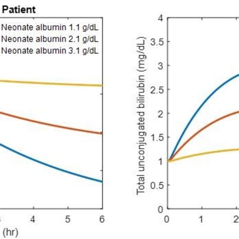 Effect Of Neonate Albumin Levels On Kinetics Of Unconjugated Bilirubin