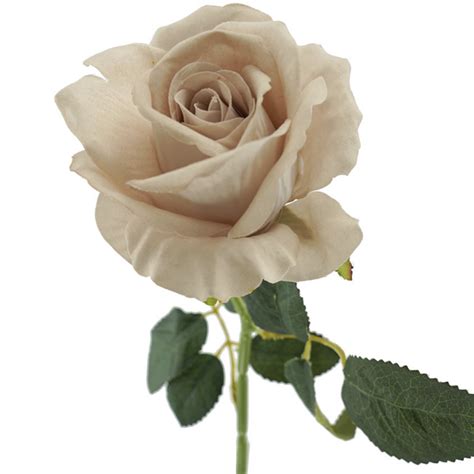 Rose Mickey Nude High Quality Artificial Flowers The Artificial