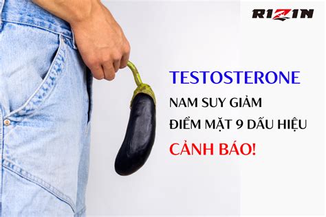 Testosterone Nam Suy Giảm Điểm Mặt 9 Dấu Hiệu Cảnh Báo Rizin NhẬt BẢn