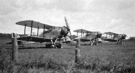 Photograph Of Three Westland Wapiti From Australian Squadron