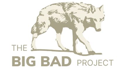 About Big Bad Wolves