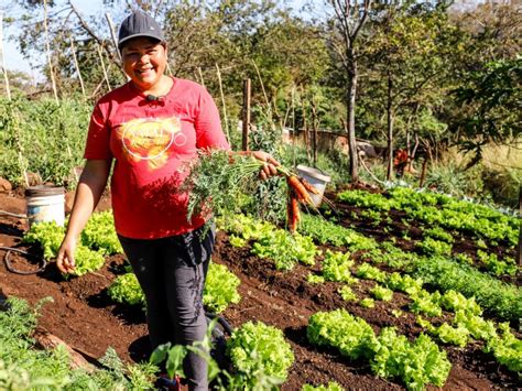 MDS impulsó la creación de casi 50 000 huertas familiares en época de