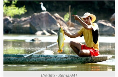 Entra Em Vigor Lei Da Pesca Que Vale Para Todo Mato Grosso