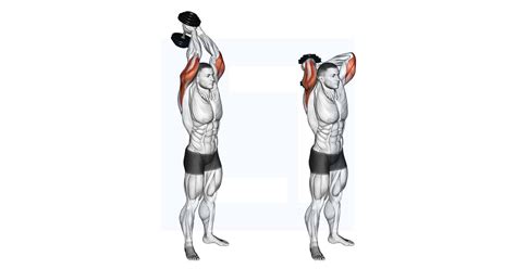 Dumbbell Standing Triceps Extension - Guide, Benefits, and Form