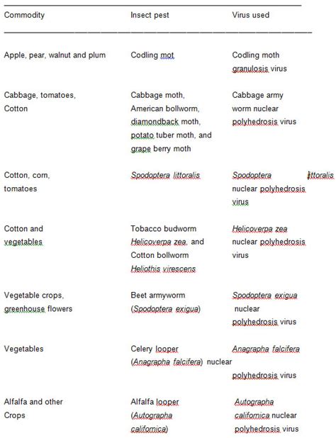 Ambe 101 Lecture 26