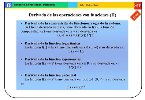 Tema Variacin De Funciones Derivadas Euler Matemticas