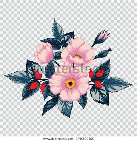 Wild Rose Flower Drawing Vector Illustrations Stock Vector (Royalty ...